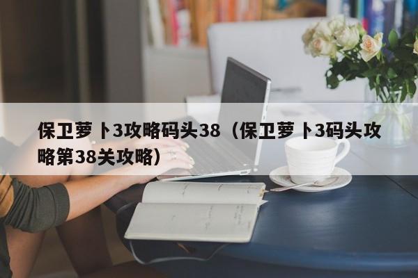保卫萝卜3攻略码头38（保卫萝卜3码头攻略第38关攻略）