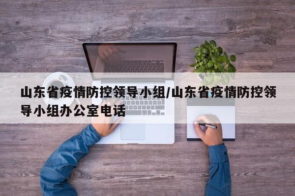 山东省疫情防控领导小组/山东省疫情防控领导小组办公室电话